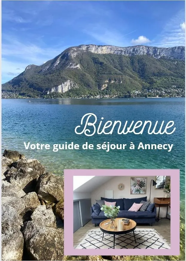 Stylish & Cosy Mezzanine In Historical Old Town Apartment Annecy