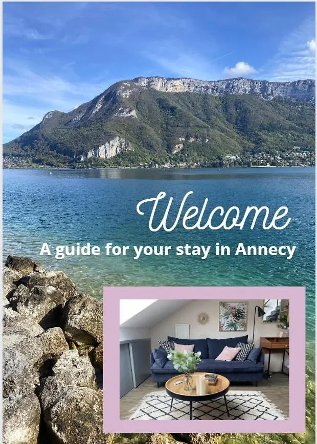 Stylish & Cosy Mezzanine In Historical Old Town Apartment Annecy France